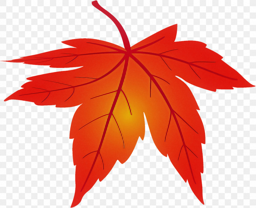 Maple Leaf Fallen Leaf Dead Leaf, PNG, 1026x836px, Maple Leaf, Autumn Leaf, Black Maple, Dead Leaf, Deciduous Download Free
