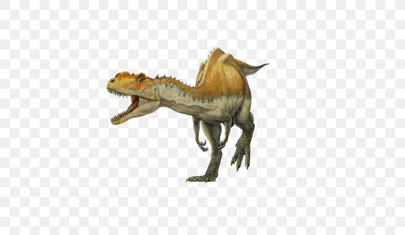 Spinosaurus Yangchuanosaurus Tyrannosaurus Metriacanthosaurus Suchomimus, PNG, 630x477px, Spinosaurus, Allosaurus, Carnivore, Dinosaur, Fauna Download Free