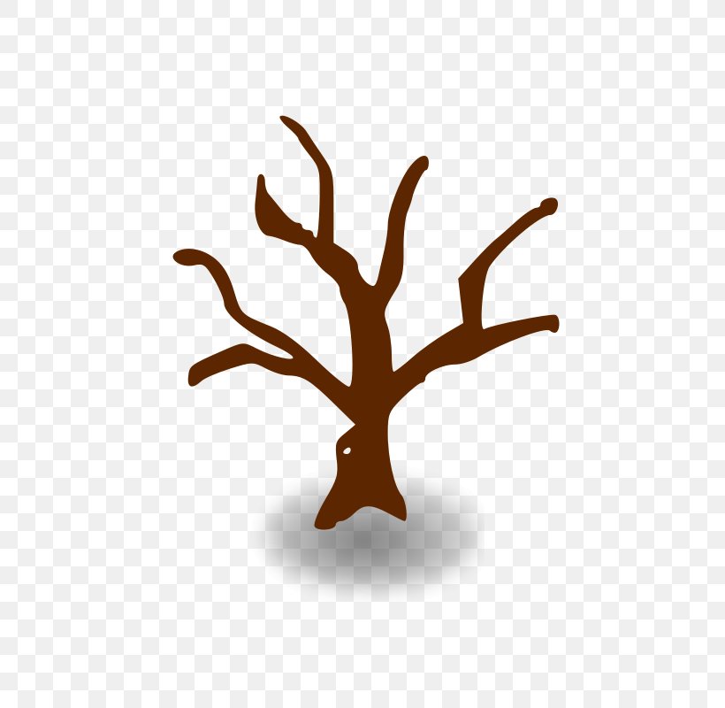 Tree Branch Clip Art, PNG, 800x800px, Tree, Antler, Blog, Branch, Drawing Download Free