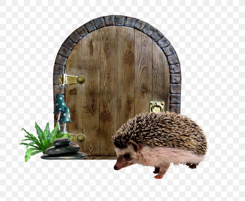 Alices Adventures In Wonderland Domesticated Hedgehog Fairy Tale, PNG, 1100x902px, Alices Adventures In Wonderland, Alice, Alice In Wonderland, Domesticated Hedgehog, Door Download Free