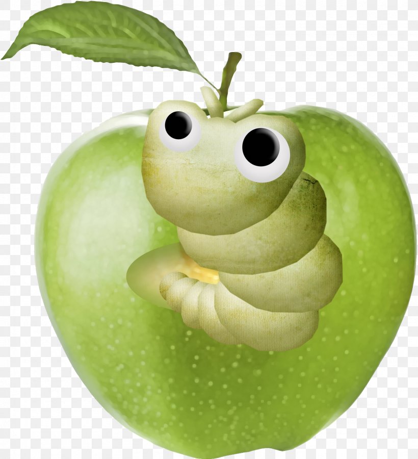 Apple Kiwifruit Clip Art, PNG, 1612x1771px, Apple, Amphibian, Berry, Food, Frog Download Free