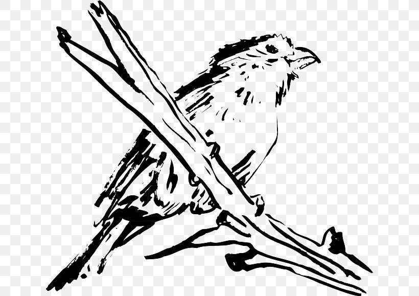 Bird Feather Wing Owl Clip Art, PNG, 640x579px, Bird, Art, Artwork, Beak, Bird Of Prey Download Free
