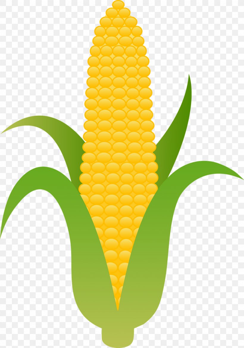 Corn On The Cob Maize Sweet Corn Clip Art, PNG, 1124x1600px, Corn On The Cob, Commodity, Ear, Fruit, Husk Download Free