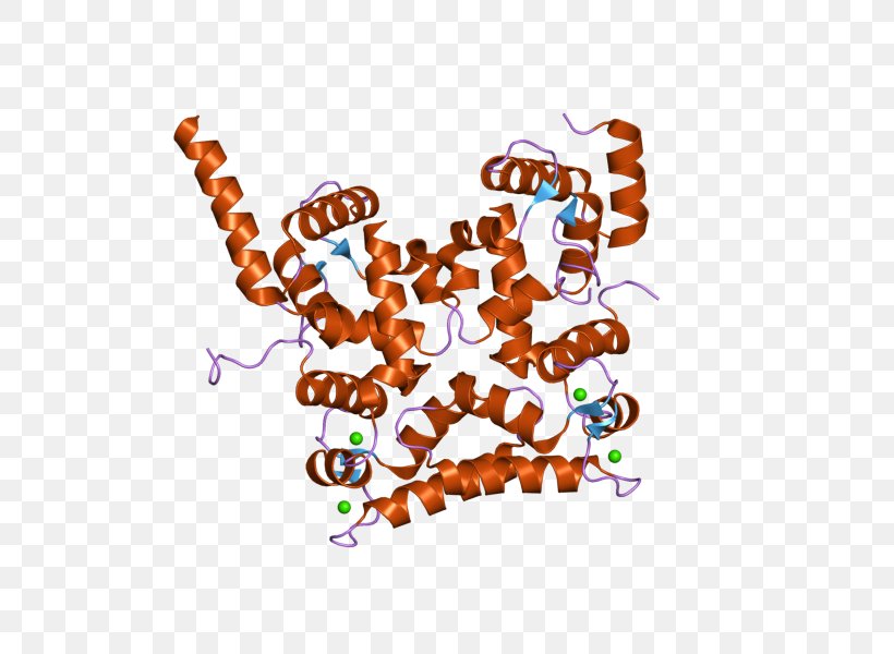 Calcineurin B Homologous Protein 1 Gene Calcium, PNG, 800x600px, Calcineurin, Animal, Art, Brand, Calcium Download Free