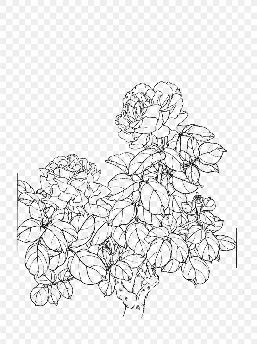 Drawing Line Art, PNG, 1197x1600px, Drawing, Area, Black And White, Flora, Floral Design Download Free