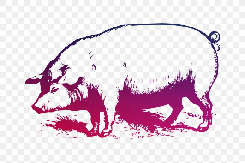 Large White Pig Vector Graphics Stock Illustration The Muddy Pig, PNG, 2100x1400px, Large White Pig, Boar, Domestic Pig, Drawing, Livestock Download Free