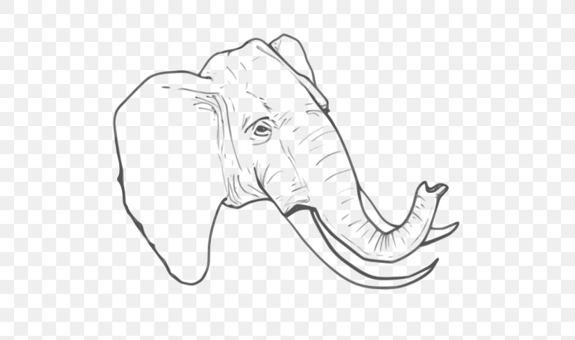 Line Art Drawing Elephant, PNG, 555x486px, Line Art, African Elephant, Art, Artwork, Black And White Download Free