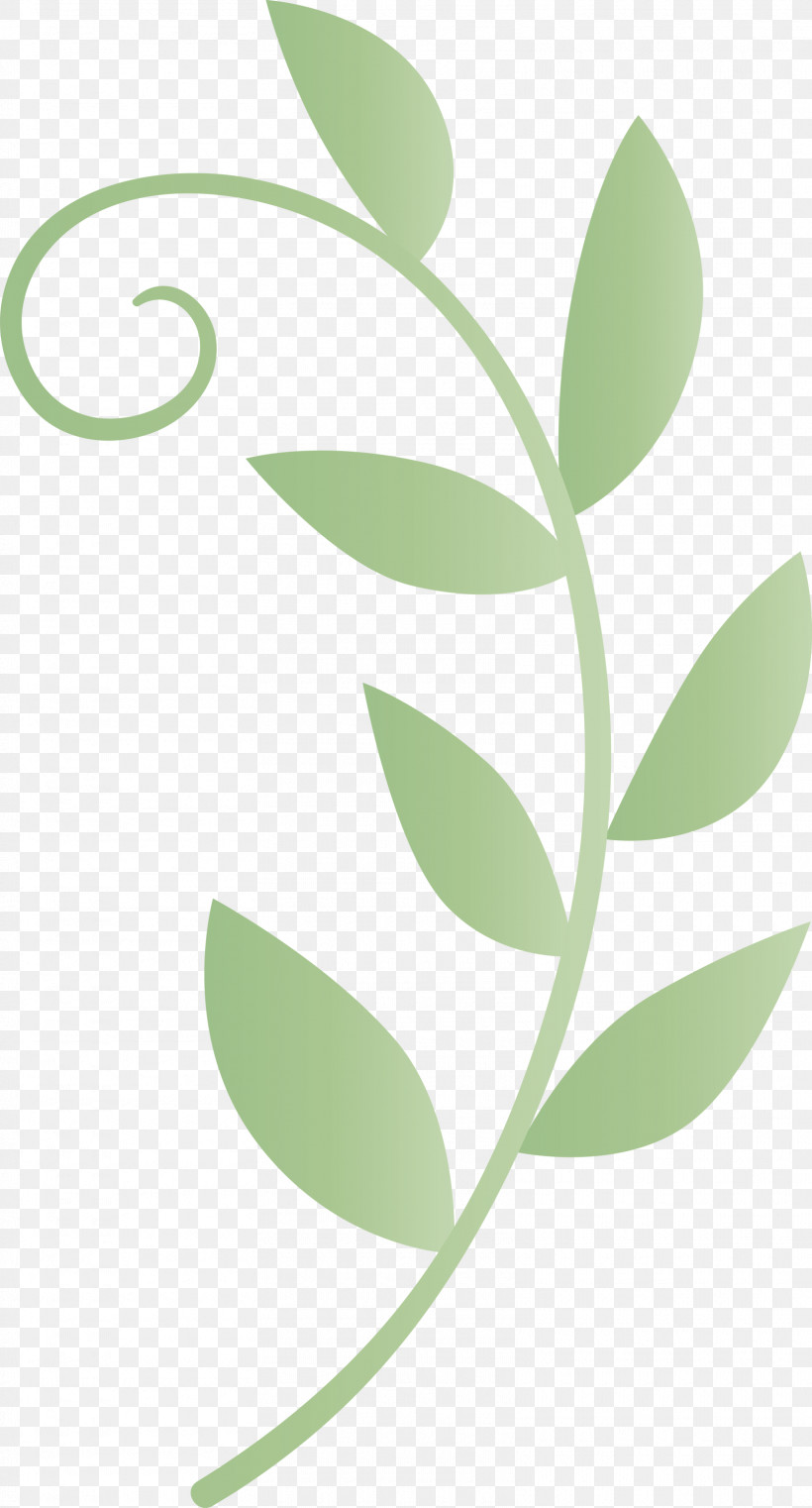 Mexico Elements, PNG, 1615x2999px, Mexico Elements, Biology, Green, Leaf, Meter Download Free