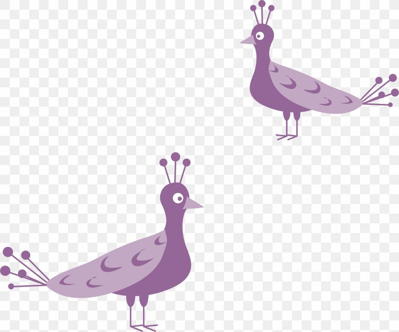 Peafowl Bird Illustration, PNG, 2548x2126px, Peafowl, Animal, Beak, Bird, Cartoon Download Free