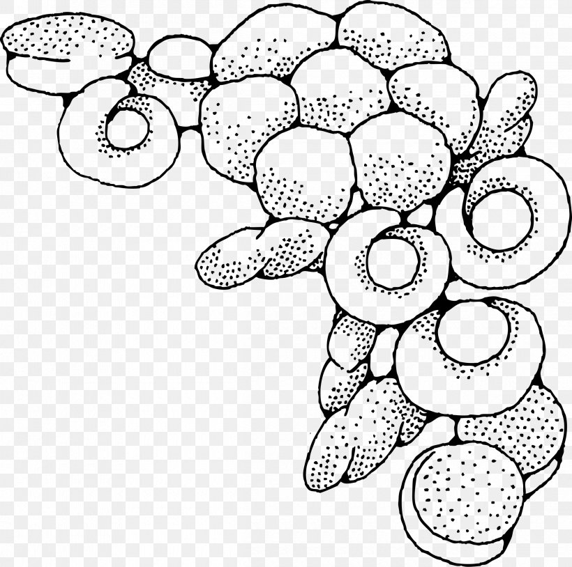Bagel Small Bread Clip Art, PNG, 2400x2383px, Bagel, Area, Artwork, Black And White, Bread Download Free