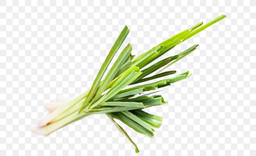 Allium Fistulosum Welsh Cuisine Leek Lemongrass Commodity, PNG, 640x500px, Allium Fistulosum, Allium, Commodity, Grass, Grass Family Download Free