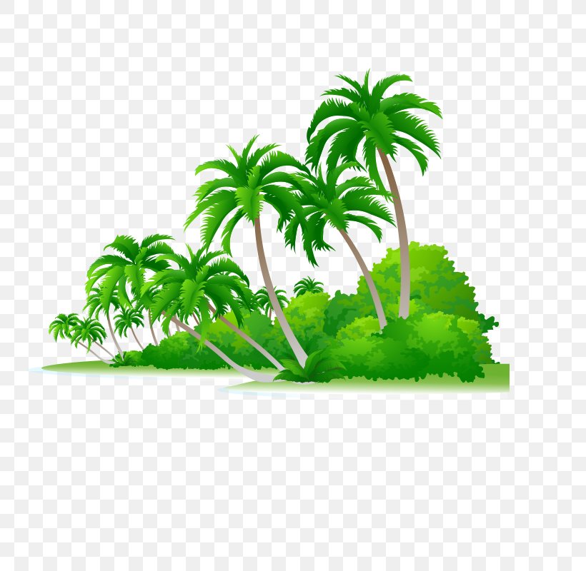 Arecaceae Shrub Illustration, PNG, 800x800px, Arecaceae, Arecales, Drawing, Flowering Plant, Flowerpot Download Free