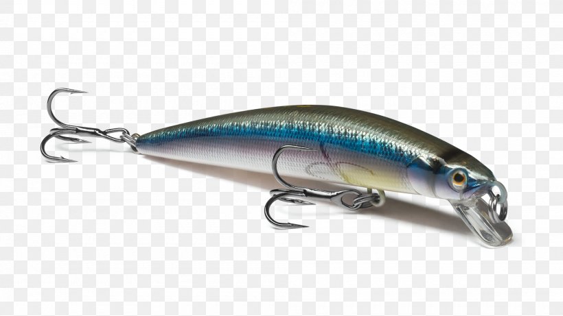 Sardine Spoon Lure Oily Fish Minnow Exempli Gratia, PNG, 2000x1125px, Sardine, Bait, Exempli Gratia, Fish, Fishing Bait Download Free