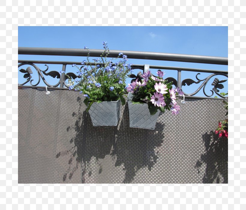 Wall Fence Plant Balcony Property, PNG, 700x700px, Wall, Balcony, Fence, Flora, Flower Download Free