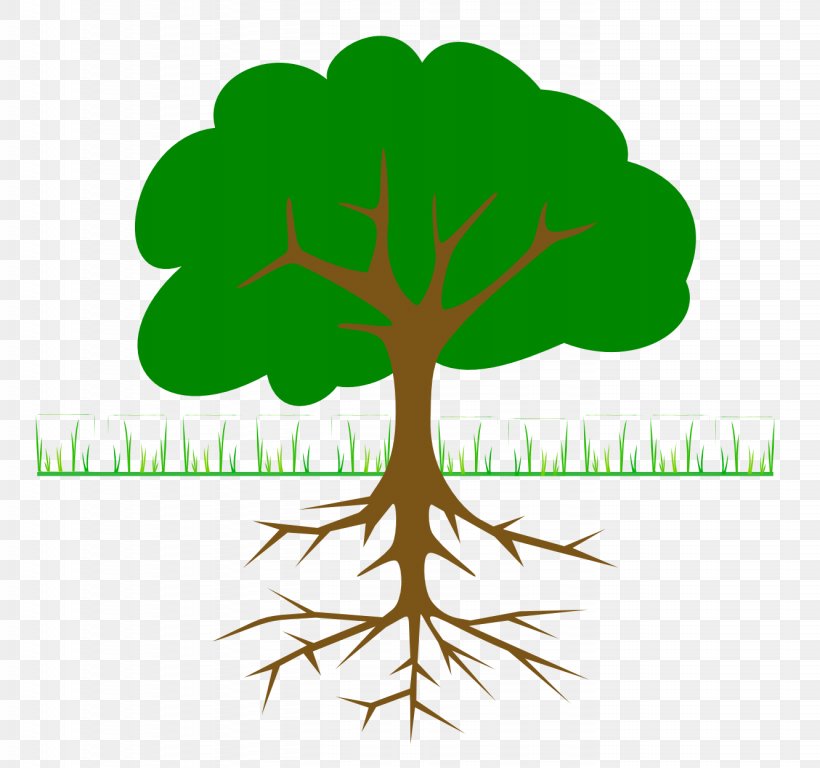 The Great Kapok Tree Branch Clip Art, PNG, 1331x1248px, Great Kapok Tree, Blog, Branch, Christmas Tree, Family Tree Download Free