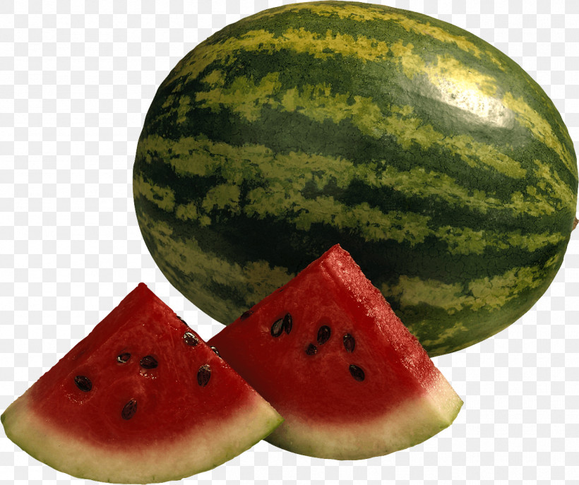 Watermelon, PNG, 1307x1096px, Watermelon, Blog, Fruit, Fruit Salad, Honeydew Download Free