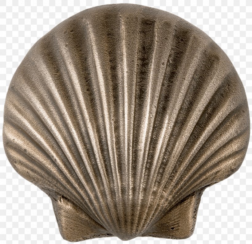 Mussel Seashell Clam Cockle Oyster, PNG, 1050x1015px, Mussel, Artifact, Bronze, Clam, Clams Oysters Mussels And Scallops Download Free