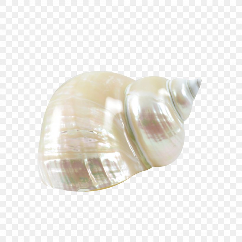 Seashell Shankha Conch Jewellery Glass, PNG, 1100x1100px, Seashell, Conch, Glass, Jade, Jewellery Download Free