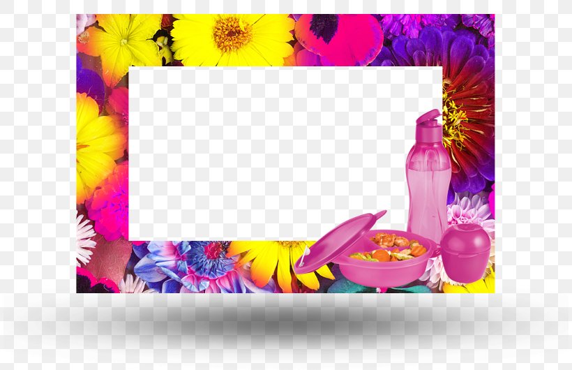 Arlena Twigg Picture Frames Tupperware, PNG, 810x530px, Picture Frames, Brand, Erika Flores, Flower, Magenta Download Free