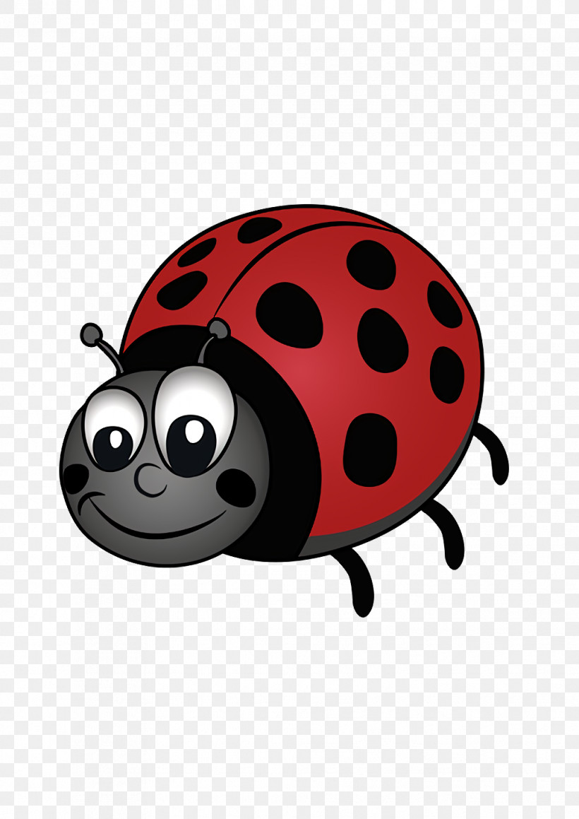 Cartoon Beetles Biology Science, PNG, 1018x1440px, Cartoon, Beetles, Biology, Science Download Free