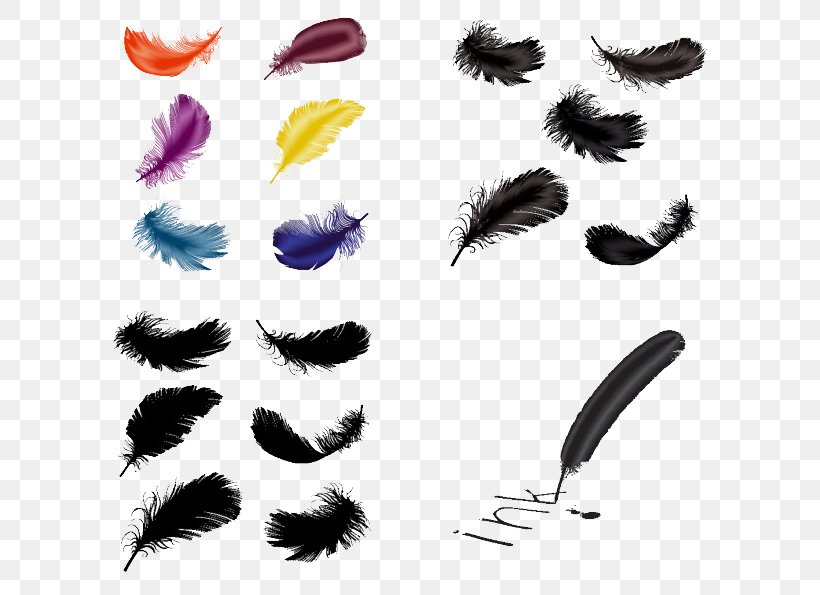 Feather Quill Adobe Illustrator, PNG, 650x595px, Feather, Coreldraw, Drawing, Eyelash, Pen Download Free