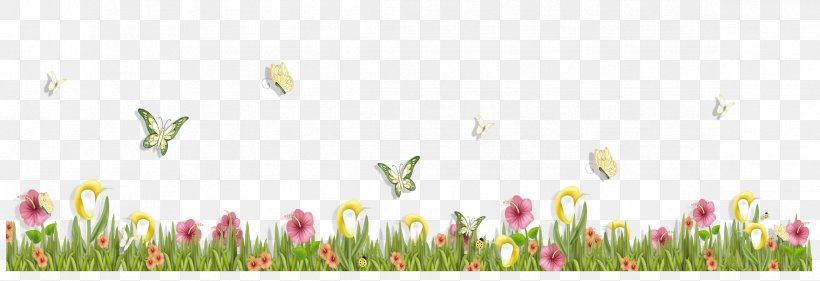 Flower Clip Art, PNG, 2339x802px, Flower, Commodity, Field, Flowering Plant, Free Content Download Free