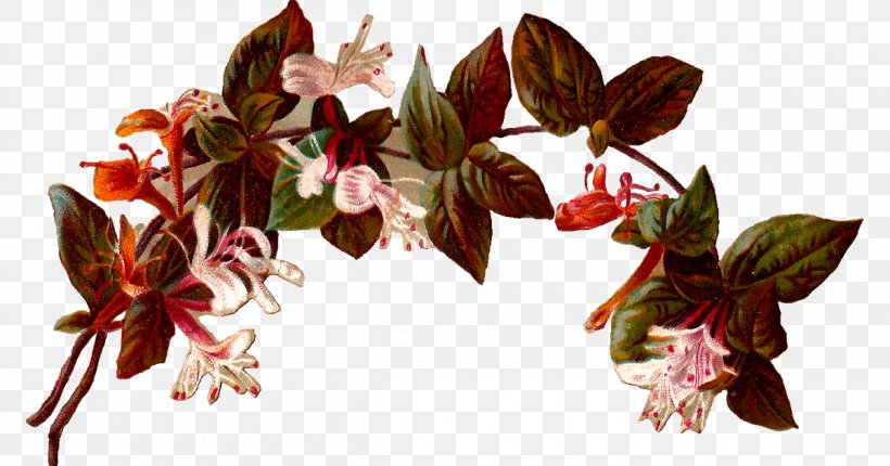 Flower Vintage Clothing Floral Design Clip Art, PNG, 1200x630px, Flower, Branch, Cut Flowers, Digital Illustration, Flora Download Free
