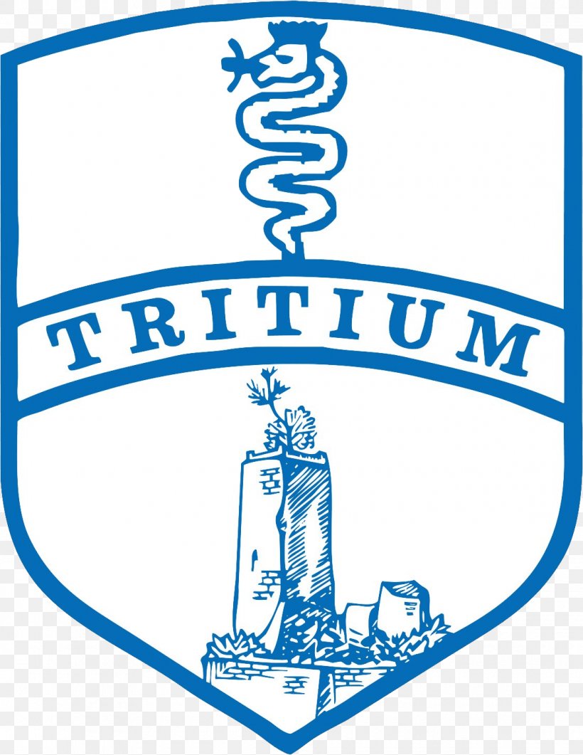Tritium Calcio 1908 Trezzo Sull'Adda Aurora Pro Patria 1919 Football Coach, PNG, 1120x1450px, Football, Area, Black And White, Brand, Coach Download Free