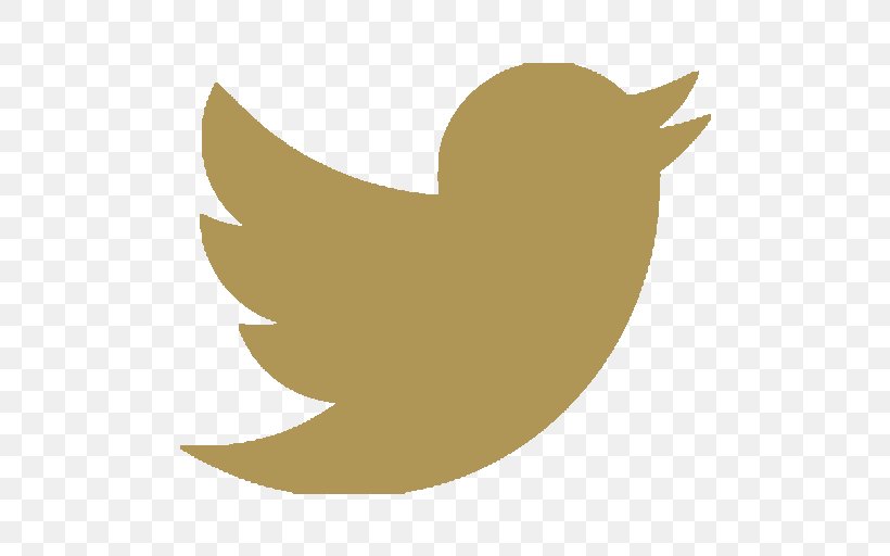 Logo YouTube Officine BRERA Twitter Inc. Tangla Hotel Brussels, PNG, 512x512px, Logo, Advertising, Art Director, Beak, Bird Download Free
