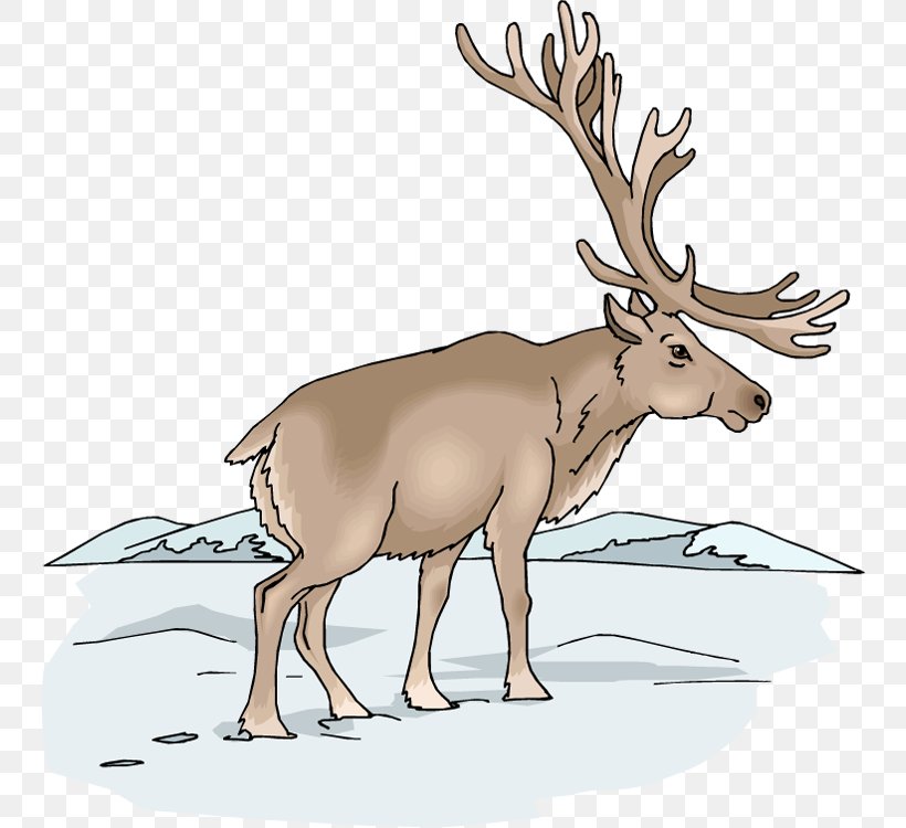 Moose Elk Deer Clip Art, PNG, 746x750px, Moose, Antler, Cattle Like Mammal, Deer, Elk Download Free