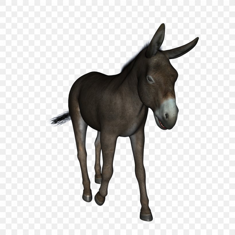 Mule Donkey Jennet, PNG, 2000x2000px, Mule, Animal, Bit, Bridle, Colt Download Free