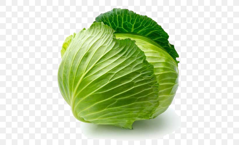 Organic Food Savoy Cabbage Leaf Vegetable, PNG, 500x500px, Organic Food, Brassica Oleracea, Brussels Sprout, Cabbage, Cabbage Family Download Free