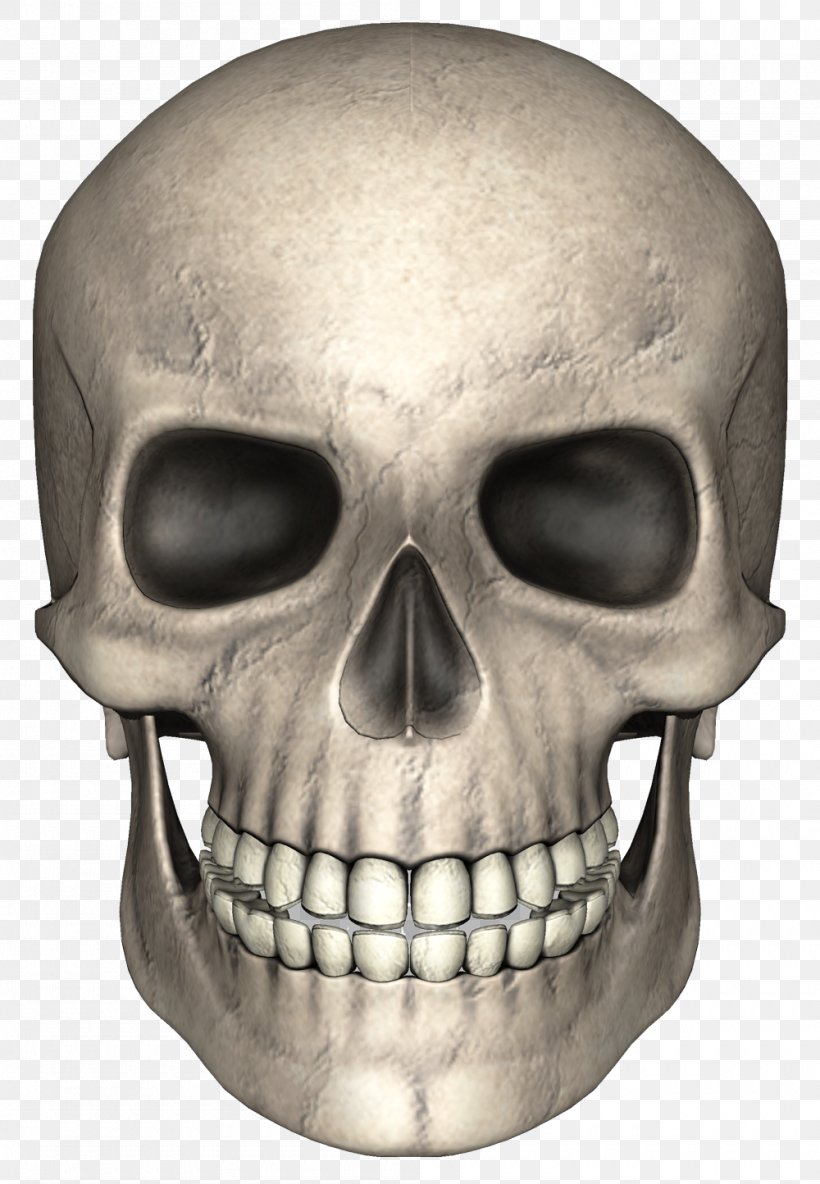 Skull Pixabay, PNG, 1000x1444px, Skull, Bone, Head, Jaw, Skeleton Download Free