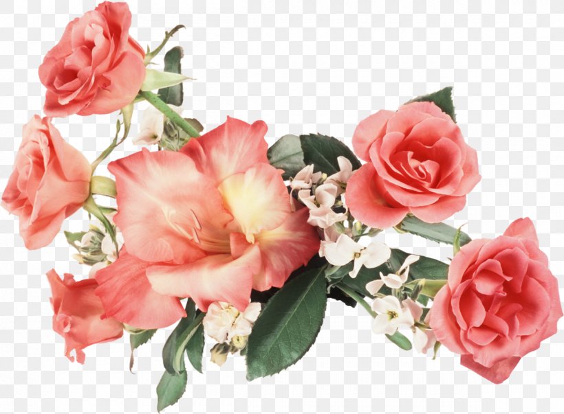 Flower Rose High-definition Television 1080p Wallpaper, PNG, 1200x883px, Flower, Artificial Flower, Cut Flowers, Floral Design, Floribunda Download Free