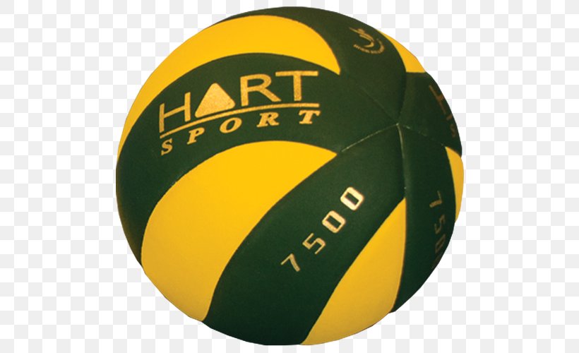 Medicine Balls Volleyball Exercise Balls Bicast Leather, PNG, 500x500px, Ball, Bicast Leather, Exercise Balls, Football, Hand Pump Download Free
