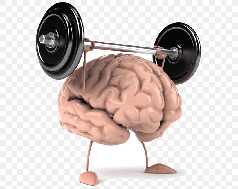 Pragati Brain Power Improvement Training Center. Cognitive Training Human Brain Exercise, PNG, 600x649px, Watercolor, Cartoon, Flower, Frame, Heart Download Free