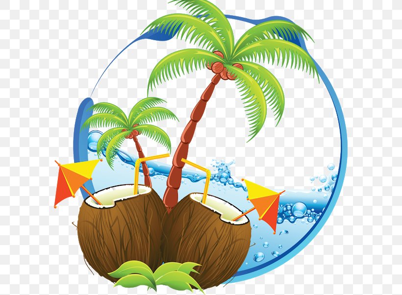 Vector Graphics Illustration Stock Photography Clip Art, PNG, 600x602px, Stock Photography, Arecales, Attalea Speciosa, Cartoon, Coconut Download Free