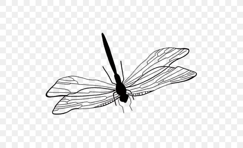 Butterfly Dragonfly Icon, PNG, 649x500px, Butterfly, Arthropod, Black, Black And White, Button Download Free