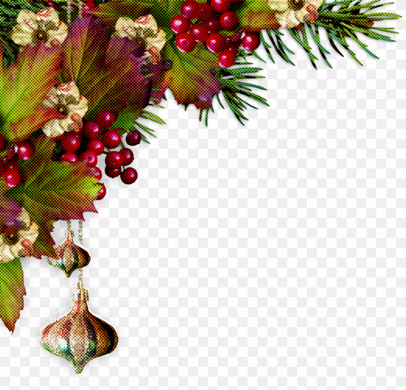 Christmas Ornaments Christmas Decoration Christmas, PNG, 1600x1536px, Christmas Ornaments, Berry, Branch, Christmas, Christmas Decoration Download Free