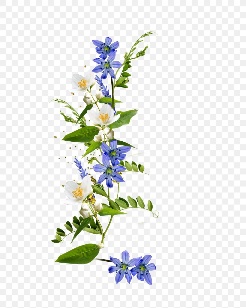 Cut Flowers Floral Design Clip Art, PNG, 724x1024px, Flower, Borage Family, Branch, Computer Cluster, Cut Flowers Download Free