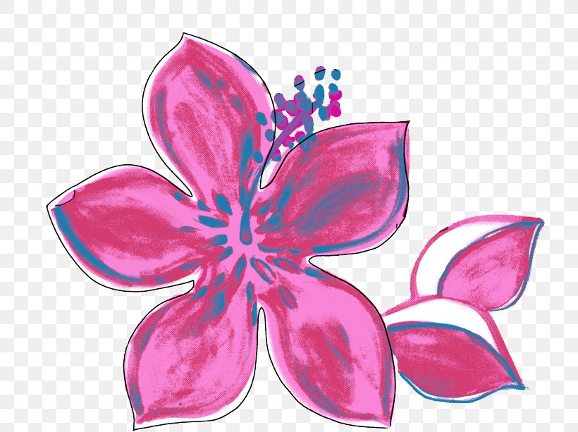 Flower Pink Plants Watercolor Painting Shoeblackplant, PNG, 750x613px, Flower, Butterfly, Color, Cut Flowers, Flowering Plant Download Free
