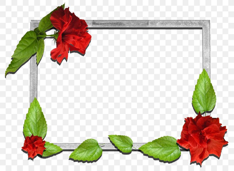 Picture Frames Flower Floral Design Photography, PNG, 800x600px, Picture Frames, Cut Flowers, Drawing, Flora, Floral Design Download Free