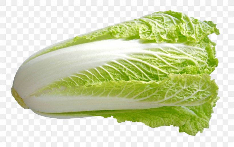 Savoy Cabbage Romaine Lettuce Spring Greens Napa Cabbage, PNG, 1024x646px, Cabbage, Auglis, Brassica, Brassica Oleracea, Chinese Cabbage Download Free