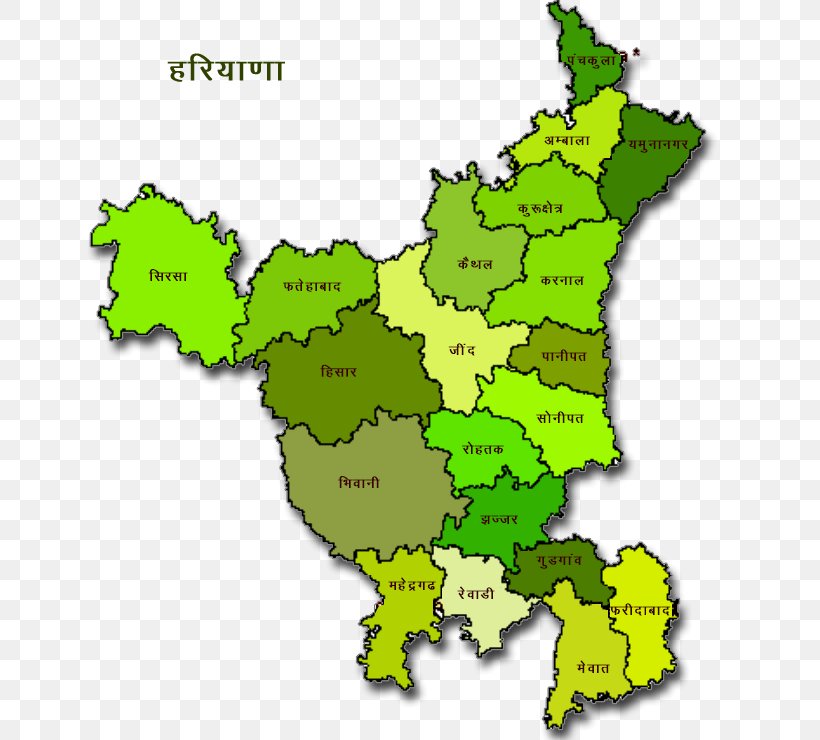SSC Combined Graduate Level Exam (SSC CGL) Map Haryanvi Language Punjab Hindi, PNG, 654x740px, Map, Area, English Language, Green, Haryana Download Free
