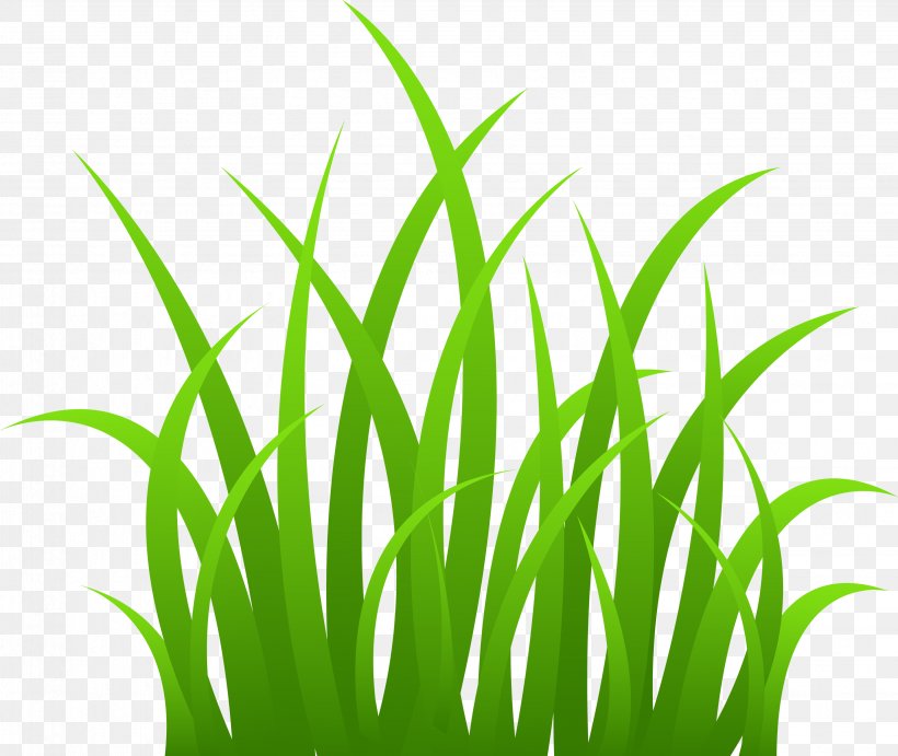 Clip Art, PNG, 3291x2776px, Presentation, Animation, Commodity, Document, Grass Download Free