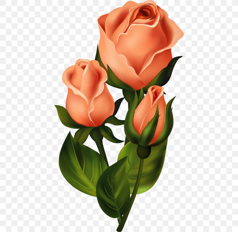 Floral Design Flower Garden Roses, PNG, 448x800px, Floral Design, Art, Artificial Flower, Bud, Cut Flowers Download Free