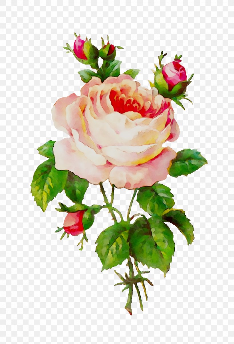 Garden Roses Flower Clip Art, PNG, 916x1348px, Rose, Antique, Artificial Flower, Bouquet, Cut Flowers Download Free