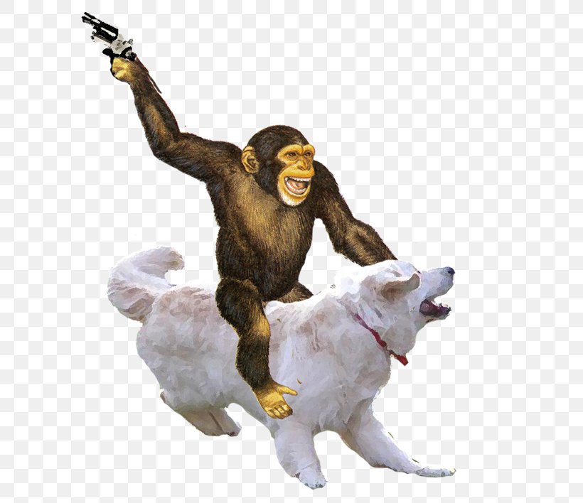 Monkey Ape Primate Simian, PNG, 625x708px, Monkey, Ape, Dog, Gun, Mammal Download Free