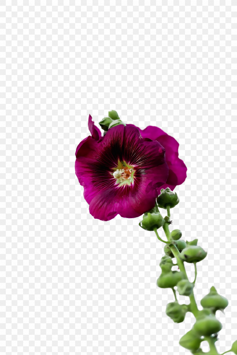 Floral Design, PNG, 2000x3000px, Watercolor, Annual Plant, Floral Design, Flower, Herbaceous Plant Download Free