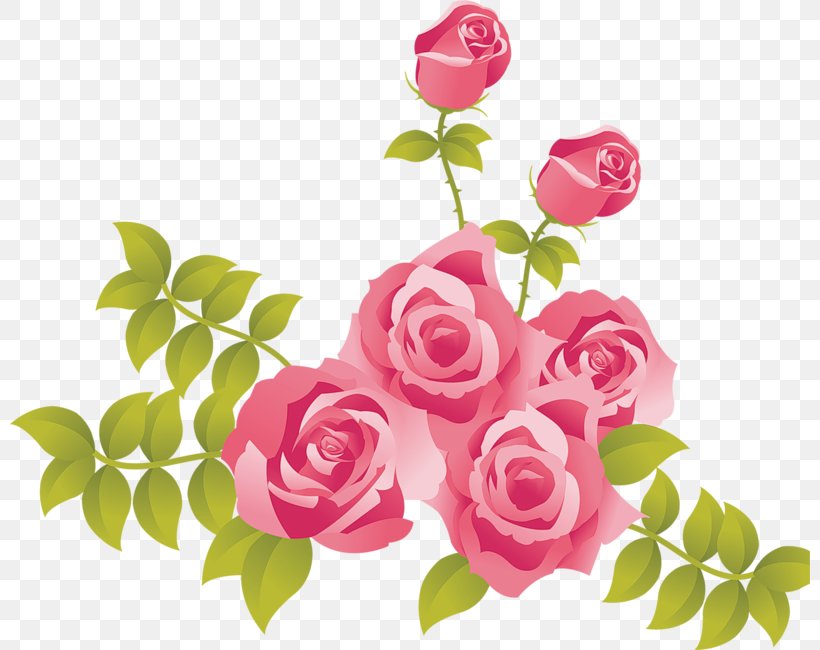 Rose Pink Flowers Free Clip Art, PNG, 800x650px, Rose, Blog, Cut Flowers, Flora, Floral Design Download Free